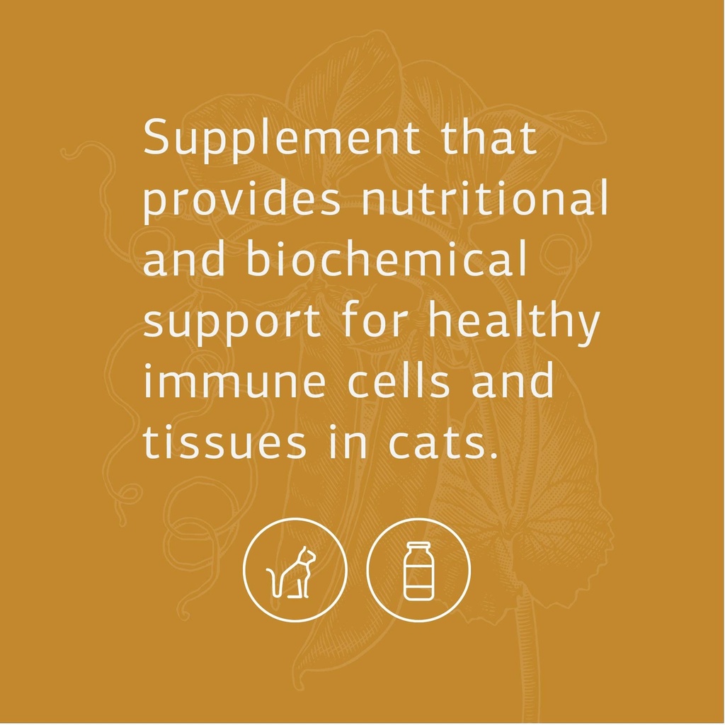 standard-process-feline-vitality-bundle--4.jpg