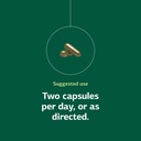 standard-process-catalyn-with-iron-suppl-5.jpg