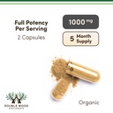 organic-lions-mane-mushroom-capsules-300-6.jpg