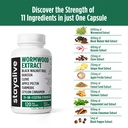 stay-alive-wormwood-and-tudca-bundle-wit-6.jpg
