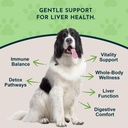 animal-essentials-liver-defense-for-dogs-2.jpg