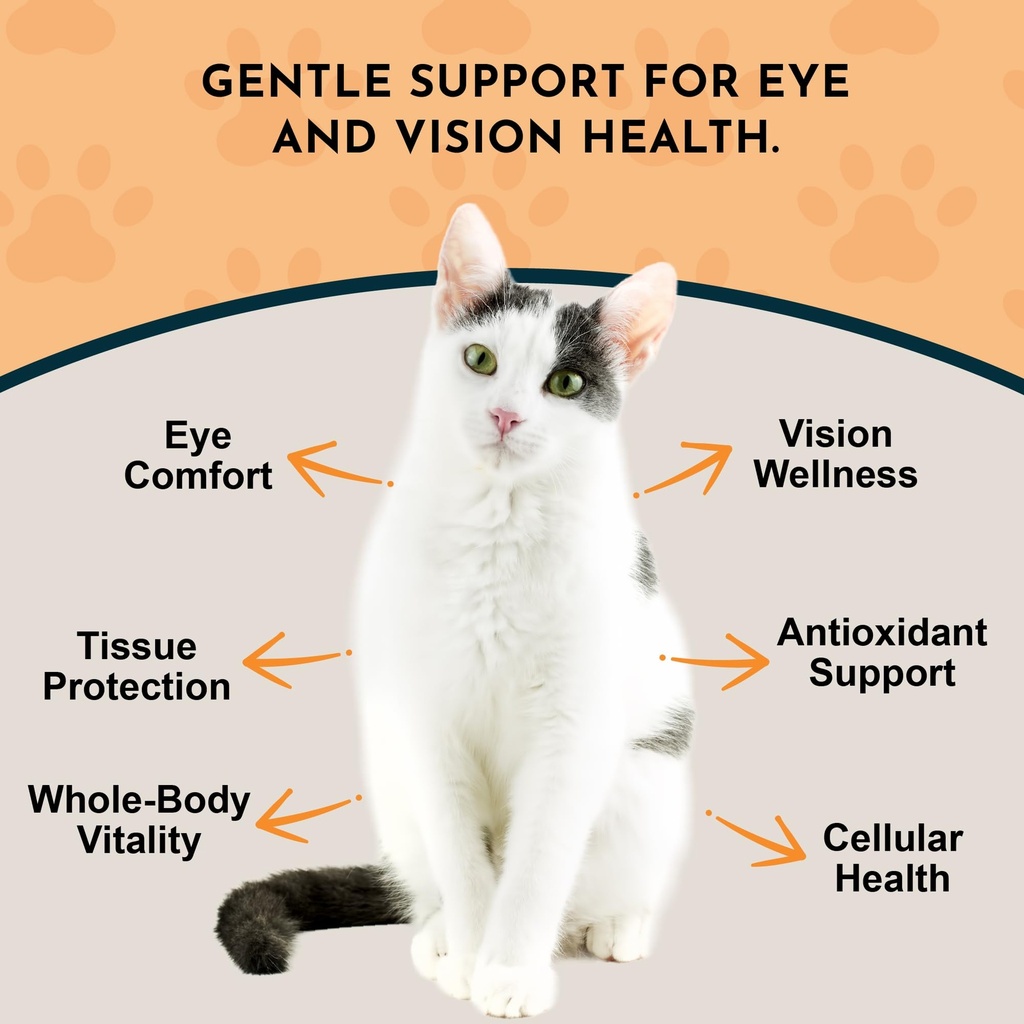 animal-essentials-eye-defense-support-fo-3.jpg