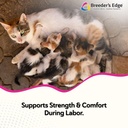 breeder-s-edge-oral-cal-plus-gel-whelpin-2.jpg