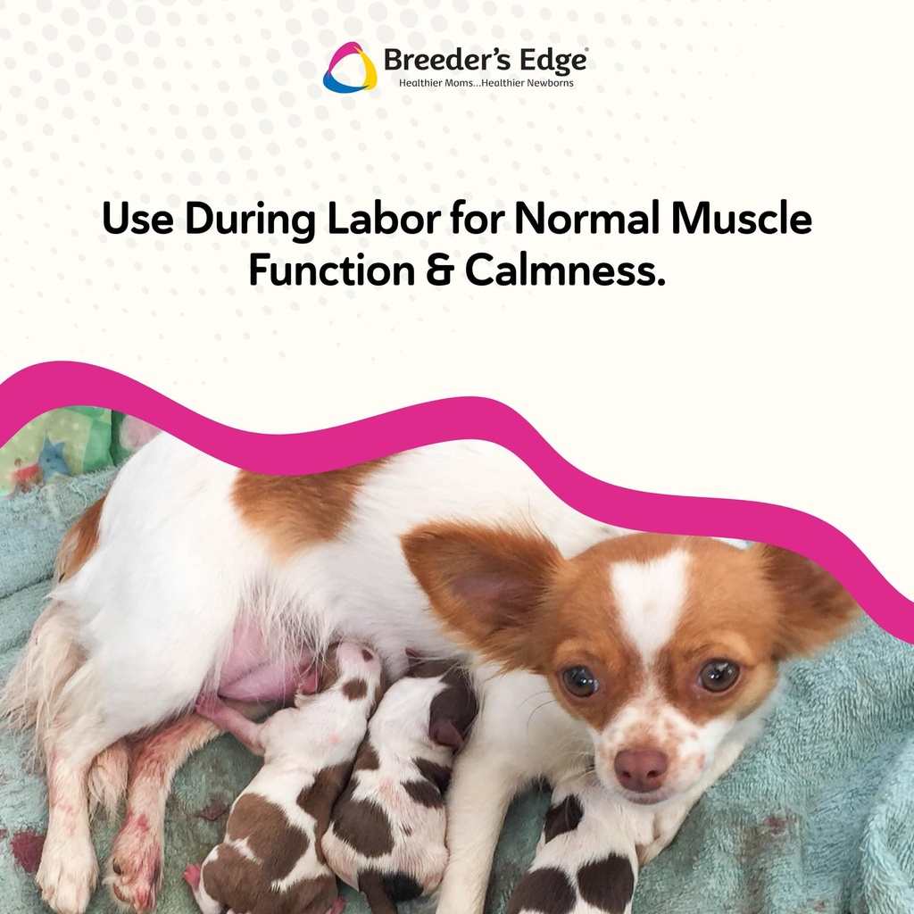 breeder-s-edge-oral-cal-plus-gel-whelpin-5.jpg
