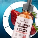 trueseamoss-organic-irish-sea-moss-liqui-3.jpg