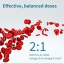 echiomega-vegan-triple-omega-3-6-9-500-m-5.jpg
