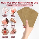 120pcs-ginger-patch-for-muscle-joint-rel-2.jpg