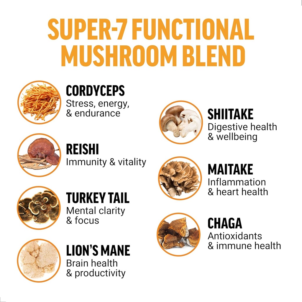 force-factor-modern-mushrooms-powder-mus-3.jpg