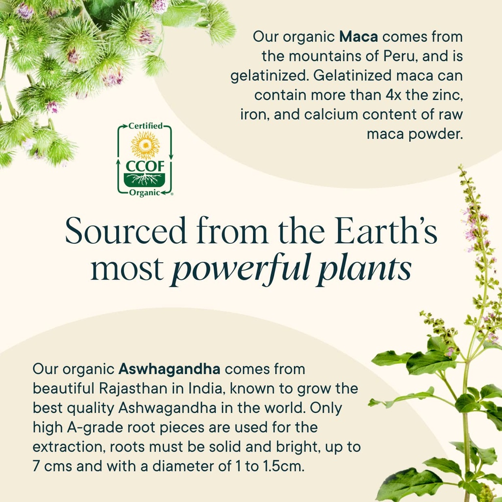 ora-organic-hormone-balance-greens-powde-6.jpg