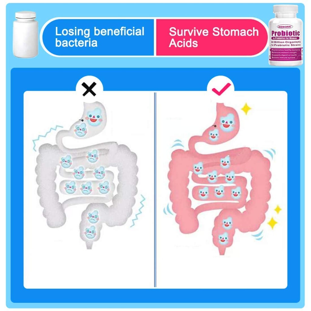 zebora-probiotics-powder-probiotics-for--5.jpg