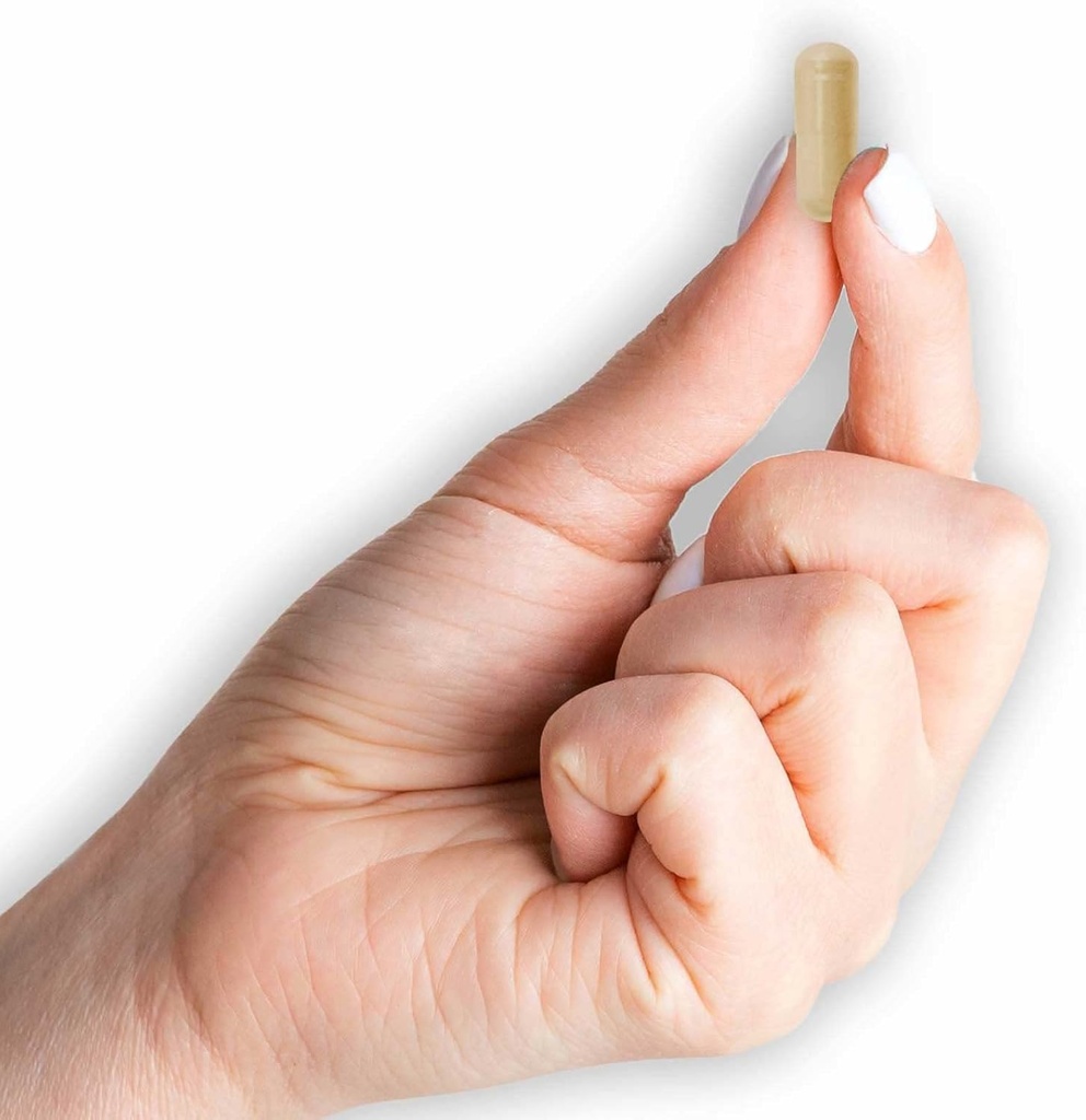 mason-natural-whole-herb-ginger-500-mg-n-4.jpg