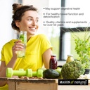 mason-natural-whole-herb-ginger-500-mg-n-6.jpg