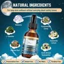 liquid-melatonin-for-dogs-dog-melatonin--5.jpg