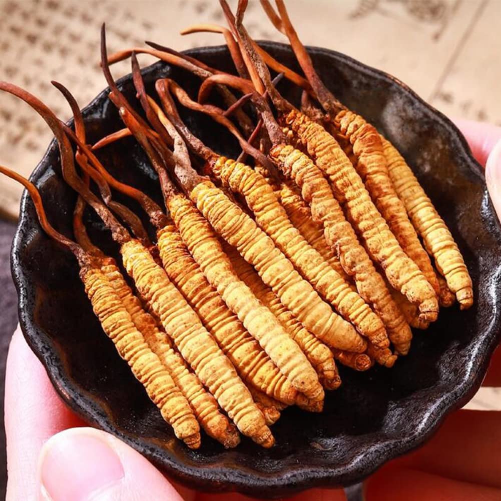 3-grams-100-wild-himalayan-cordyceps-sin-2.jpg