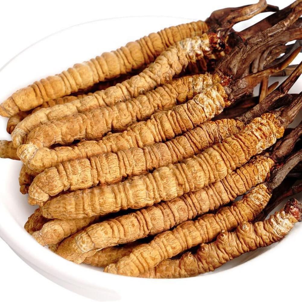 5-grams-100-wild-himalayan-cordyceps-sin-4.jpg