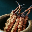 5-grams-100-wild-himalayan-cordyceps-sin-3.jpg