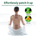 160pcs-moxibustion-patches-natural-herba-3.jpg