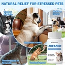 l-theanine-supplement-for-dogs-and-cats--2.jpg