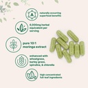micro-ingredients-moringa-oleifera-300-c-3.jpg