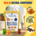 trueseamoss-gummies-sample-1200mg-irish--4.jpg