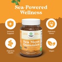 sea-moss-gummies-for-adults-and-kids-veg-5.jpg