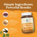 sea-moss-gummies-for-adults-and-kids-veg-6.jpg