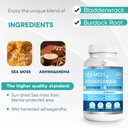 sea-moss-ashwagandha-gummies-organic-iri-3.jpg