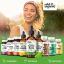 wild-organic-gotu-kola-herb-tincture-bra-5.jpg