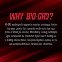 isatori-bio-gro-chocolate-ice-cream-60-s-6.jpg