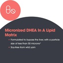 nutricology-dhea-10-mg-sustained-release-4.jpg