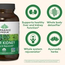 organic-india-liver-kidney-herbal-supple-4.jpg