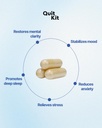 detox-withdrawal-support-system-21-day-r-3.jpg