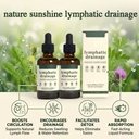 sentk-organic-lymphatic-drainage-drops-2-4.jpg