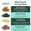 organics-ocean-wild-sea-moss-capsules-an-5.jpg