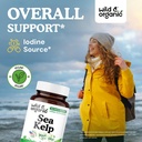 wild-organic-sea-kelp-supplement-capsule-2.jpg