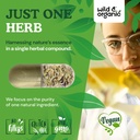 wild-organic-sea-kelp-supplement-capsule-5.jpg