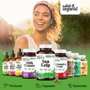 wild-organic-sea-kelp-capsules-600-mg-im-6.jpg