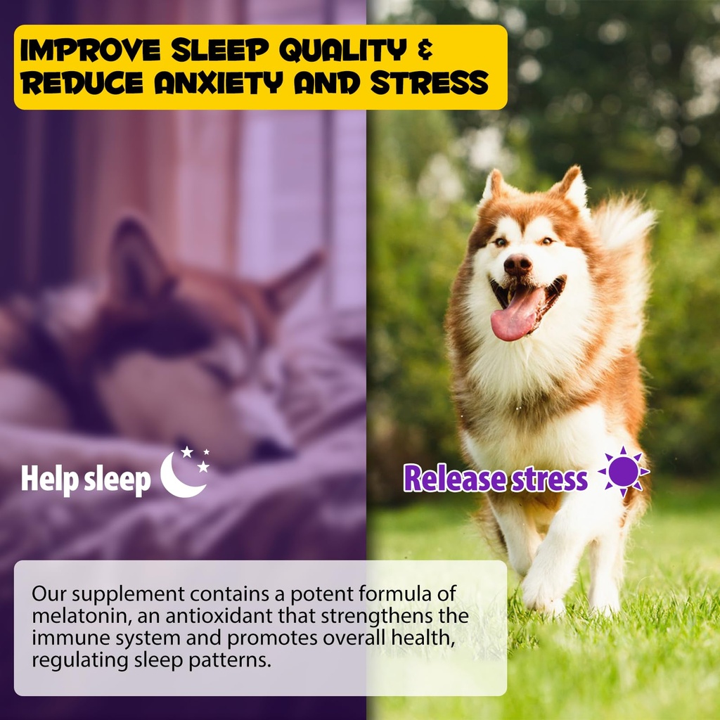 dog-melatonin-melatonin-for-dogs-calming-4.jpg