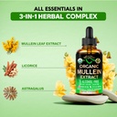 mullein-drops-for-lungs-usda-organic-liq-6.jpg