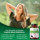zazzee-usda-organic-black-elderberry-10--4.jpg