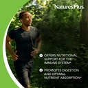 naturesplus-source-of-life-immune-booste-4.jpg