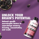 health-direct---aminomind---nootropic-co-2.jpg