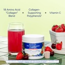gundry-md-phyto-collagen-complex-collage-2.jpg