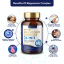 26-in-1-magnesium-complex-with-methylate-3.jpg