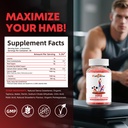 hmb-and-leucine-amino-acid-gummies-hmb-s-2.jpg