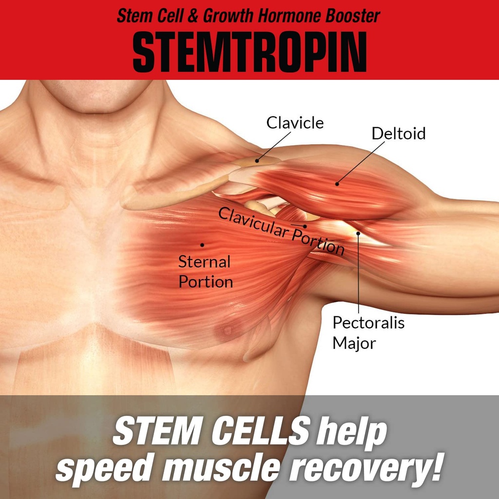 musclemeds-stemtropin-stem-cell-growth-f-4.jpg