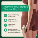 lymphatic-drainage-supplement-lymphatic--3.jpg