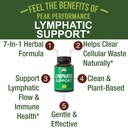 lymphatic-drainage-supplement-7-in-1-lym-2.jpg