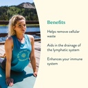 nature-s-sunshine-lymphatic-drainage-2-f-2.jpg