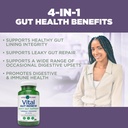 vital-planet-vital-gut-renew-capsules-su-4.jpg